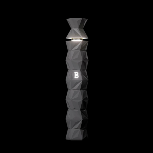 Belvedere 10 Luminous 70 cl – Image 2